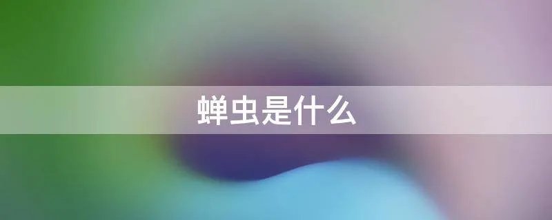 蝉虫是什么