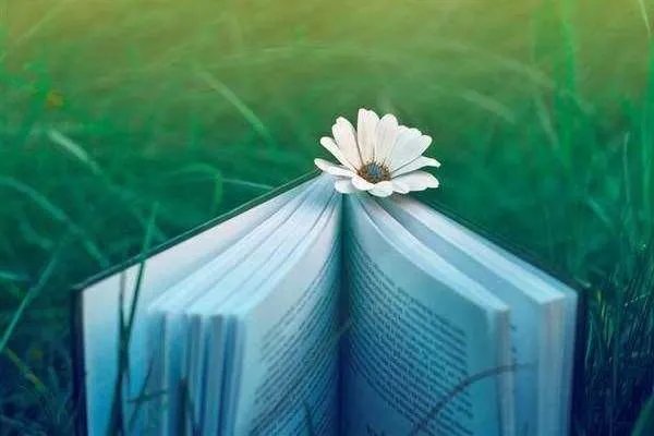 你来自哪里用英语怎么说?