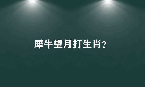 犀牛望月打生肖？