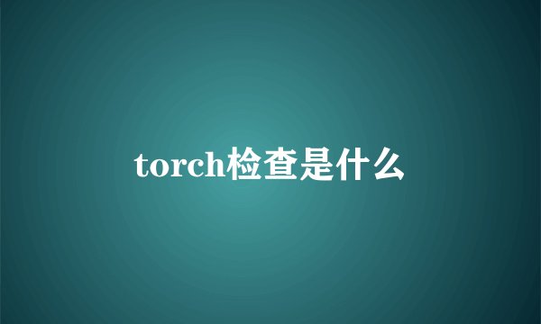 torch检查是什么