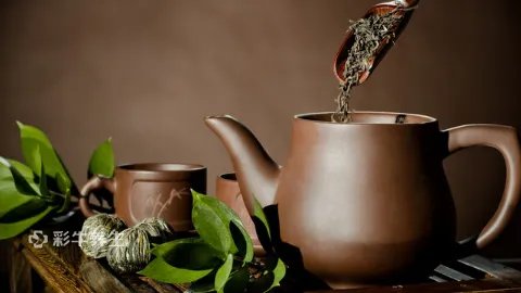 信阳毛尖的功效与作用