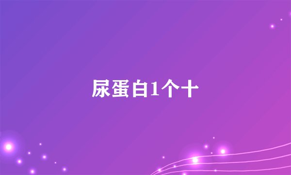 尿蛋白1个十