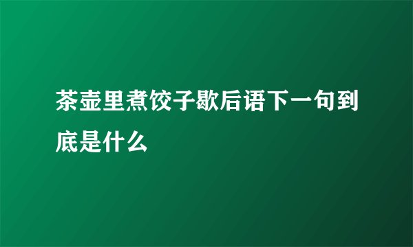 茶壶里煮饺子歇后语下一句到底是什么