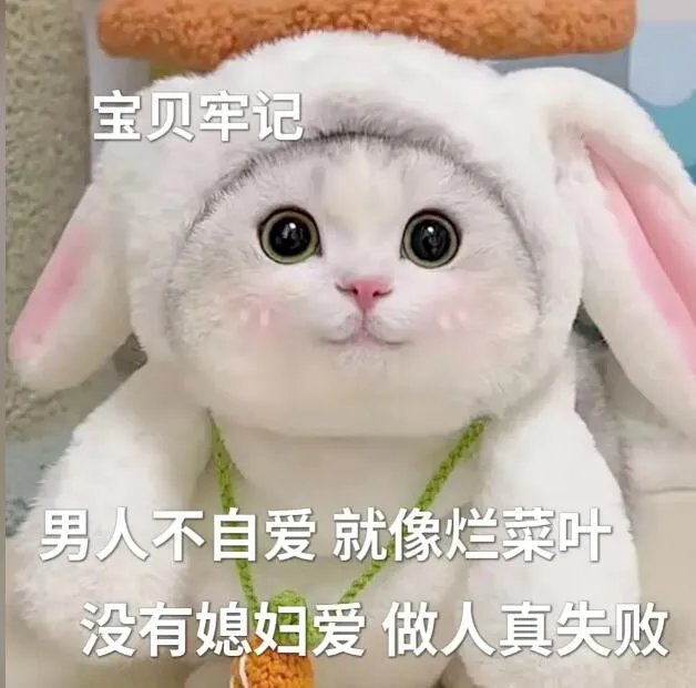 男德是什么意思？男德经内容全文