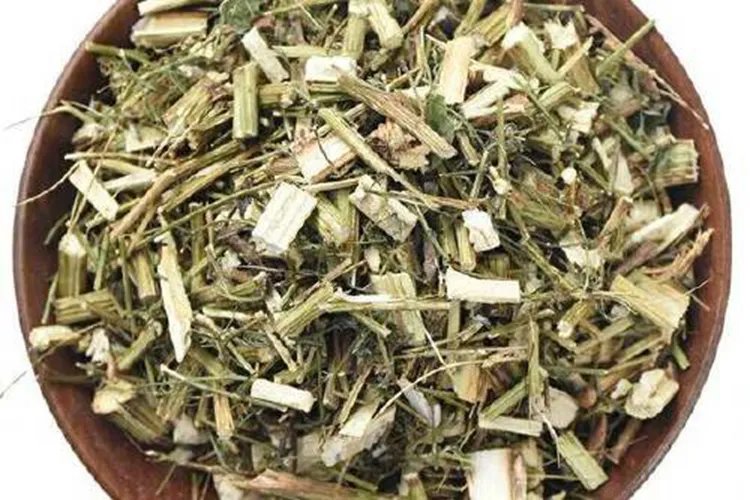 青蒿草图片大全