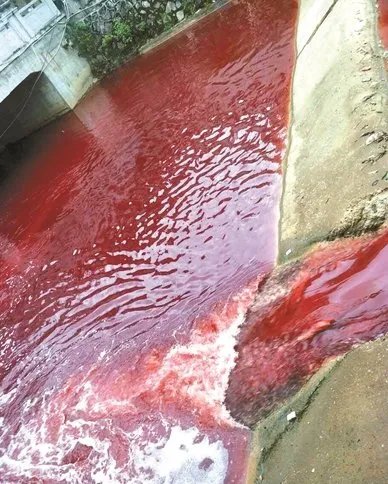 江西出现的红色河水是什么原因造成的?