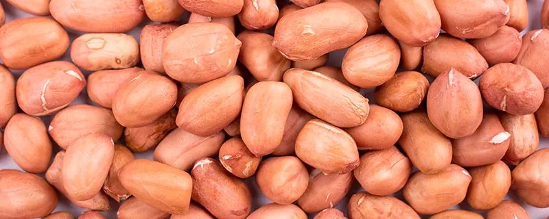 生花生的功效与作用 生花生的功效与作用有哪些