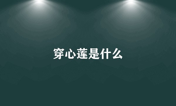 穿心莲是什么