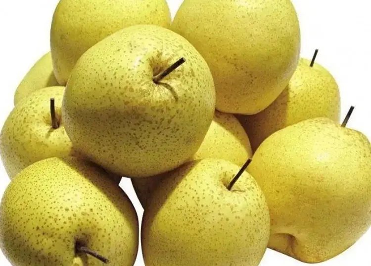 梨的功效与作用