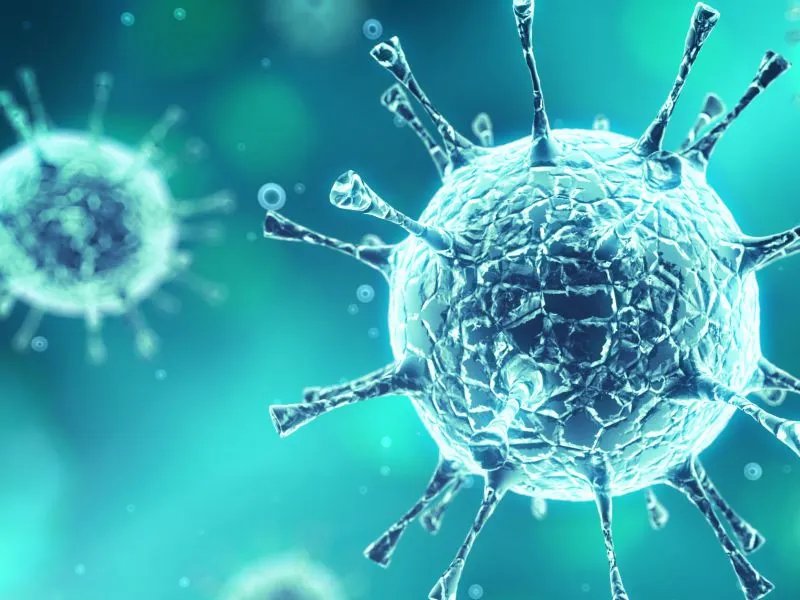 埃可病毒的症状是什么