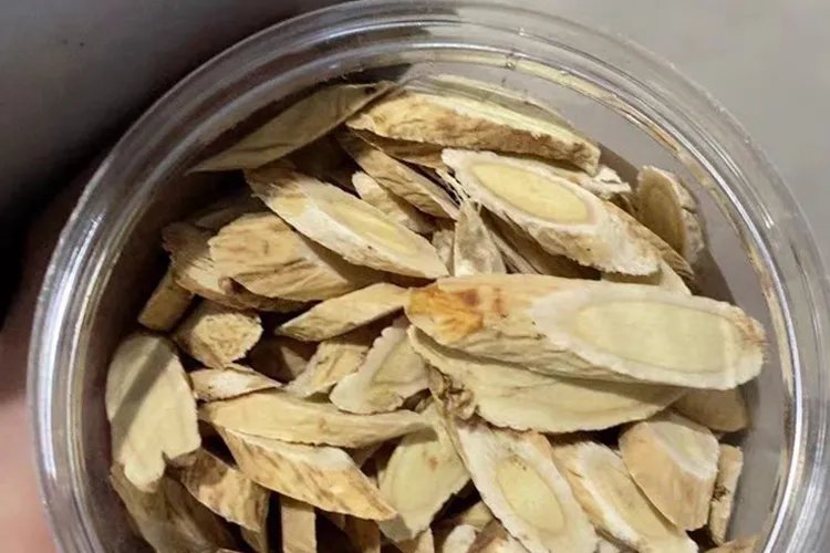 黄芪的种类和图片大全