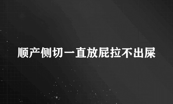 顺产侧切一直放屁拉不出屎