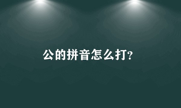 公的拼音怎么打？
