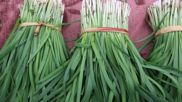 男性保健食疗方法有哪些?男人补身体吃什么好?