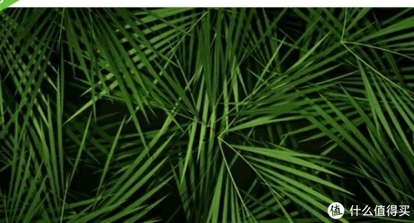 推荐10个视频素材网站,免费、高清、无水印,视频剪辑一次搞定