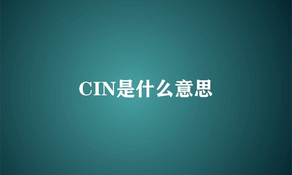 CIN是什么意思
