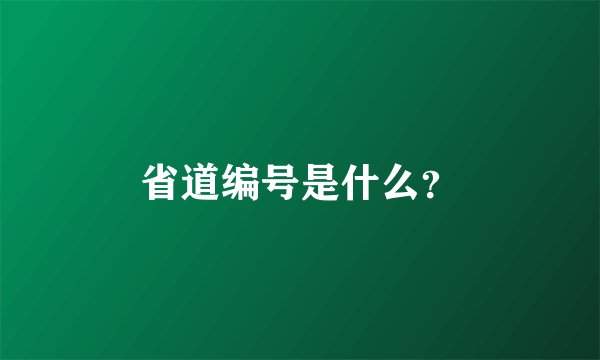 省道编号是什么？