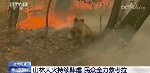 澳大利亚大火今天怎样？