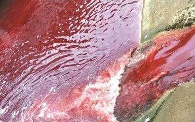 江西出现的红色河水是什么原因造成的？