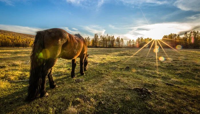 一公顷等于多少平方千米 一公顷等于多少平方千米怎么换算