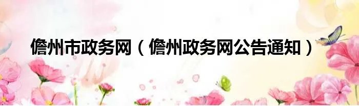 儋州市政务网（儋州政务网公告通知）