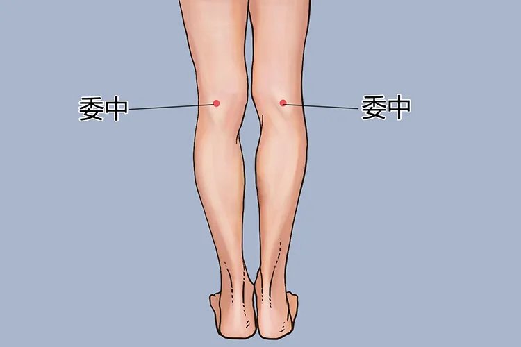 腿部拔罐12个位置示意图