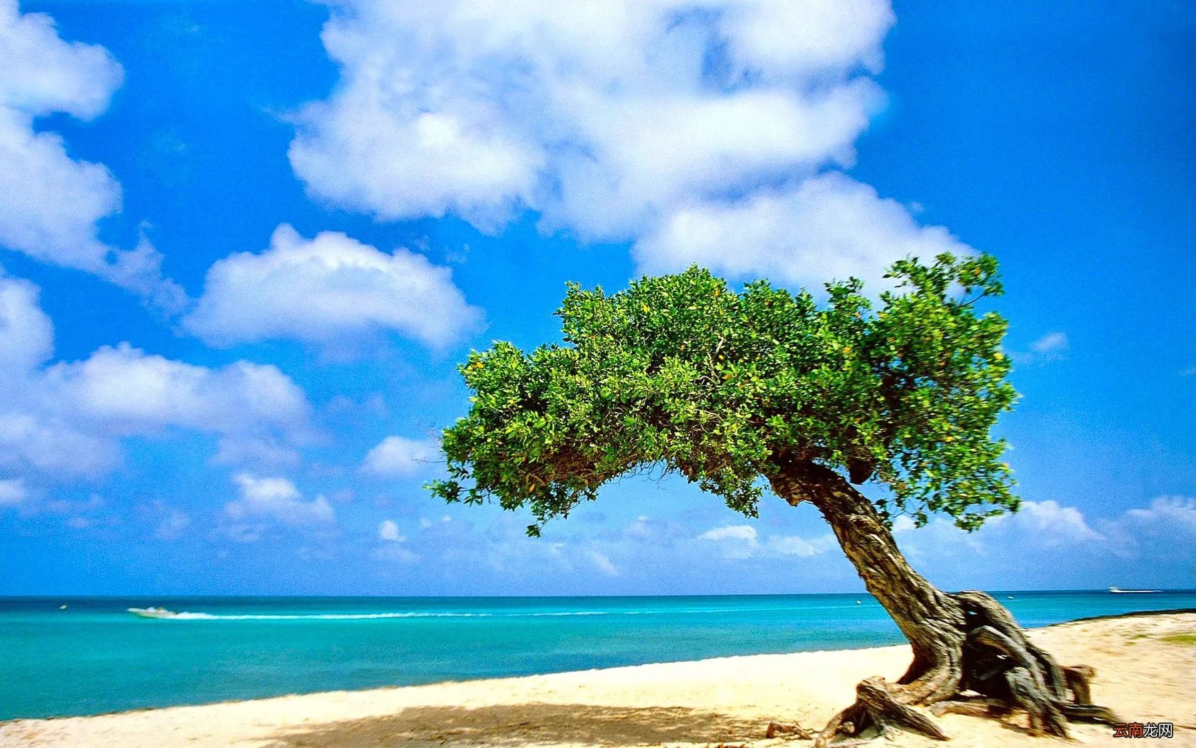 迅雷玩客币交易平台 迅雷玩客币是什么