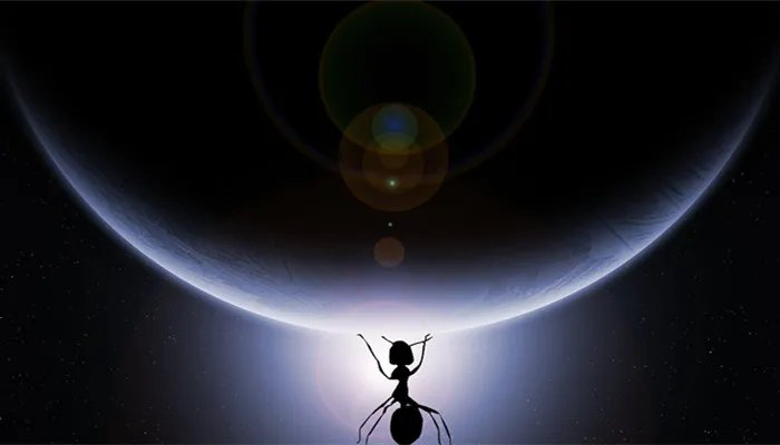 蚂蚁的特征和习性 蚂蚁的特征和习性有哪些