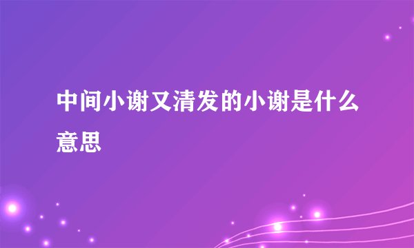 中间小谢又清发的小谢是什么意思
