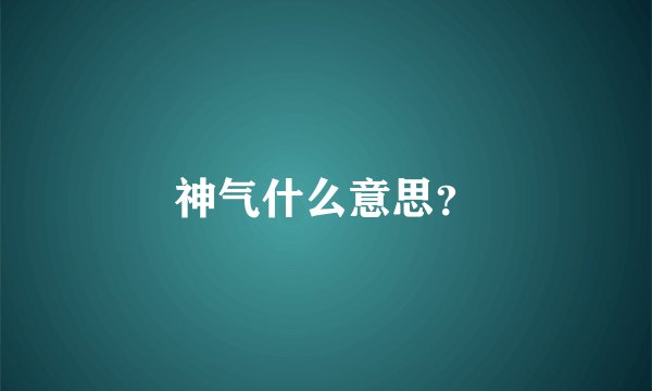 神气什么意思？