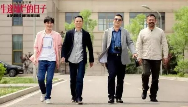 生逢灿烂的日子多少集