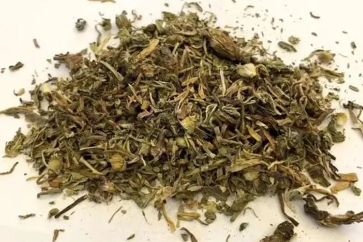 野生败酱草图片