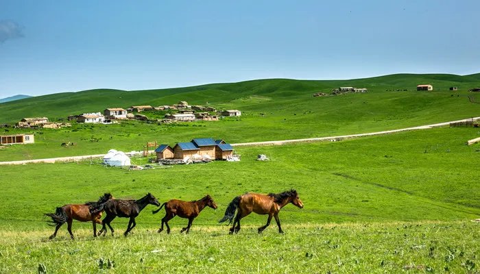 一公顷等于多少平方千米 一公顷等于多少平方千米怎么换算