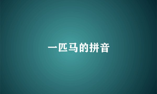 一匹马的拼音