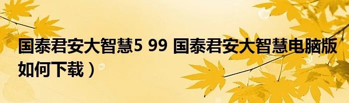 国泰君安大智慧5 99 国泰君安大智慧电脑版如何下载）