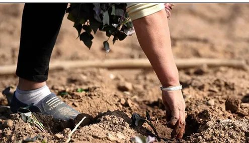 辽宁干旱农田缺墒是怎么回事?