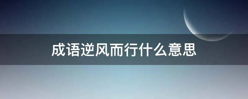 成语逆风而行什么意思