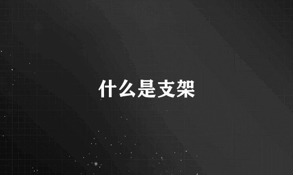 什么是支架
