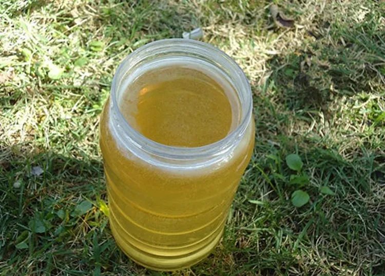 槐花蜜的功效与作用