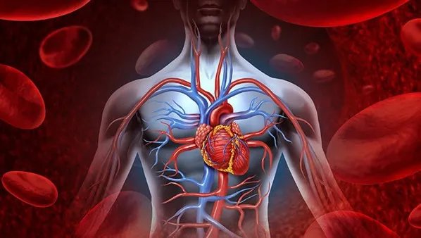 血小板减少怎么办