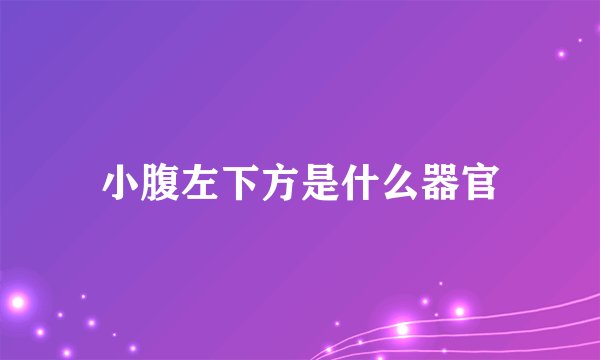 小腹左下方是什么器官