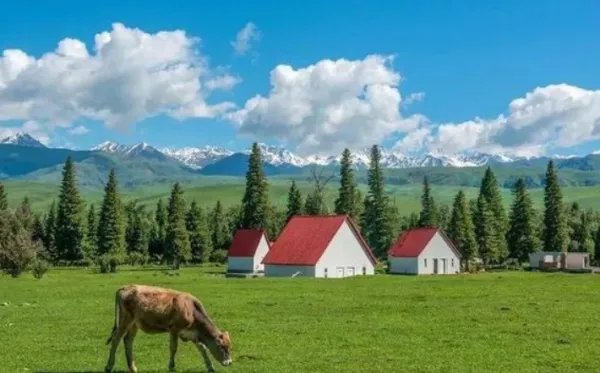 那夜的雨也没能留住你是什么歌？