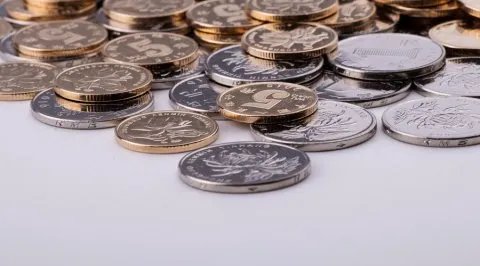 招标书的基本格式是什么