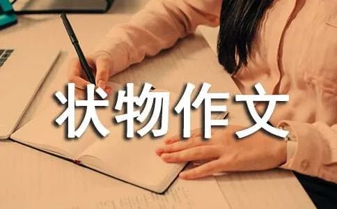状物作文