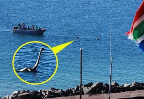 尼斯湖水怪图片真面目吓死人 水怪之谜的真相真的存在吗