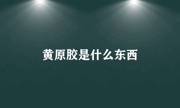 黄原胶是什么东西