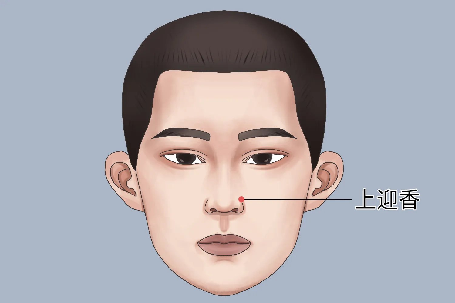 上迎香的准确位置图及作用