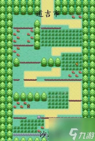 《口袋妖怪叶绿》攻略图解一周目