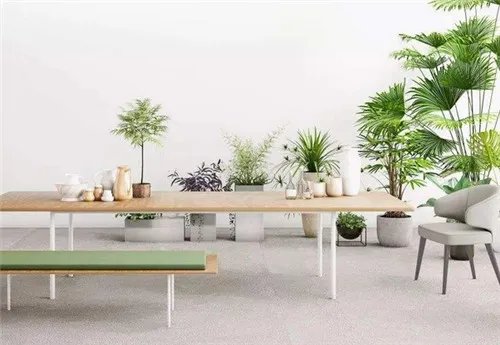 室内空气净化及治理方法是怎样的