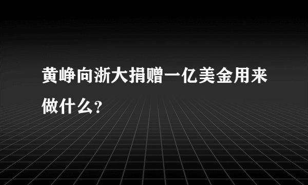 黄峥向浙大捐赠一亿美金用来做什么？